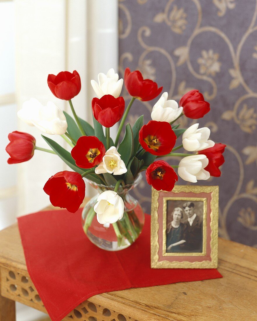 Vase of red and white tulips