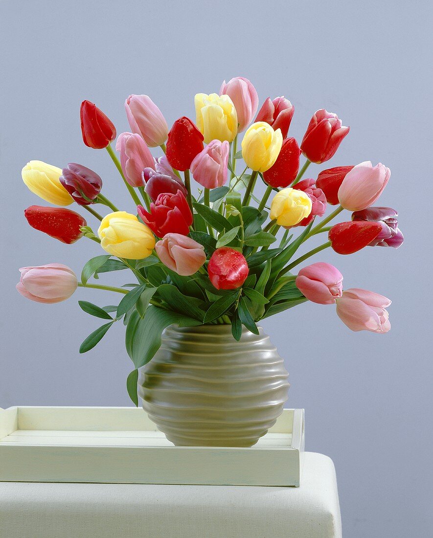 Mixed tulips in ceramic vase