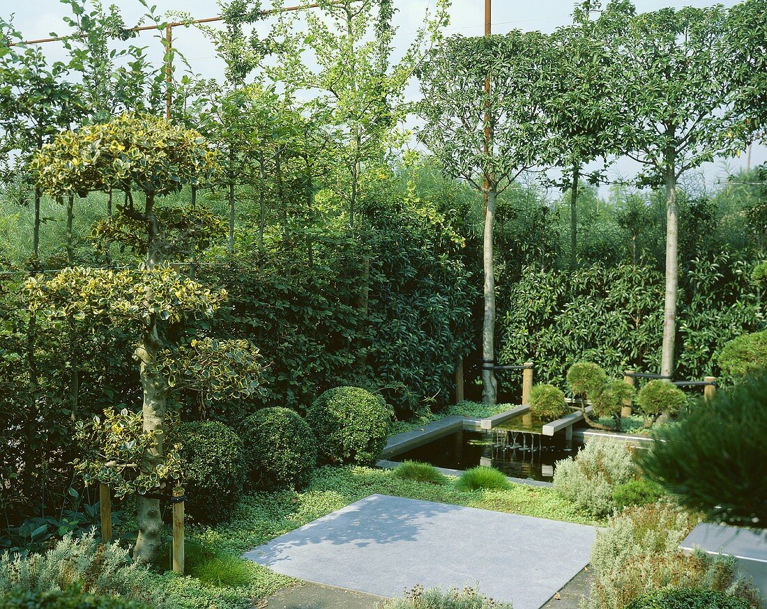 Gartenanlage mit Wasserbecken, Buchsbaumhecken und Stechpalme