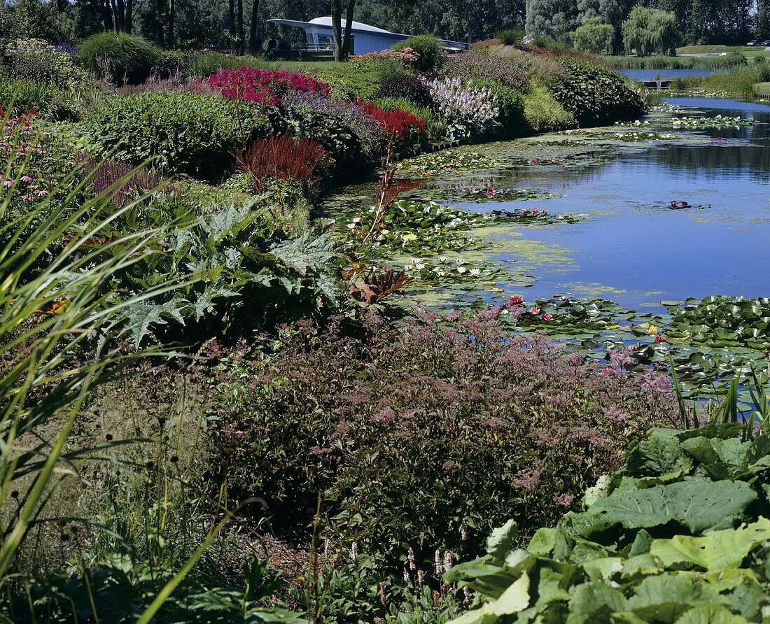 Teich mit Seerosen und üppiger Randbepflanzung