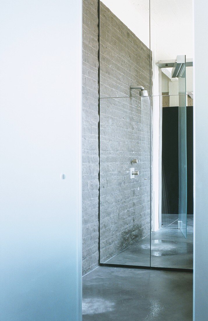 Begehbare Designer-Dusche mit raumhohem Spiegel an der Rückwand