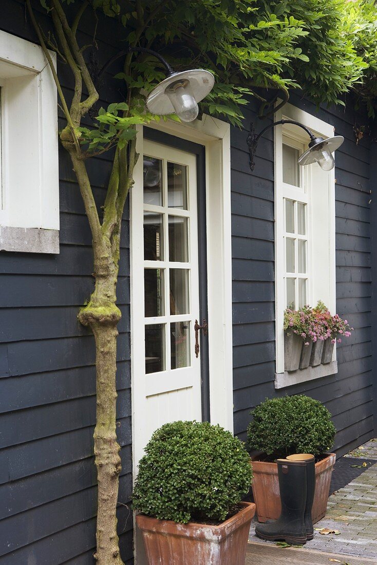 Traditional wooden house with white front door and decorative box balls