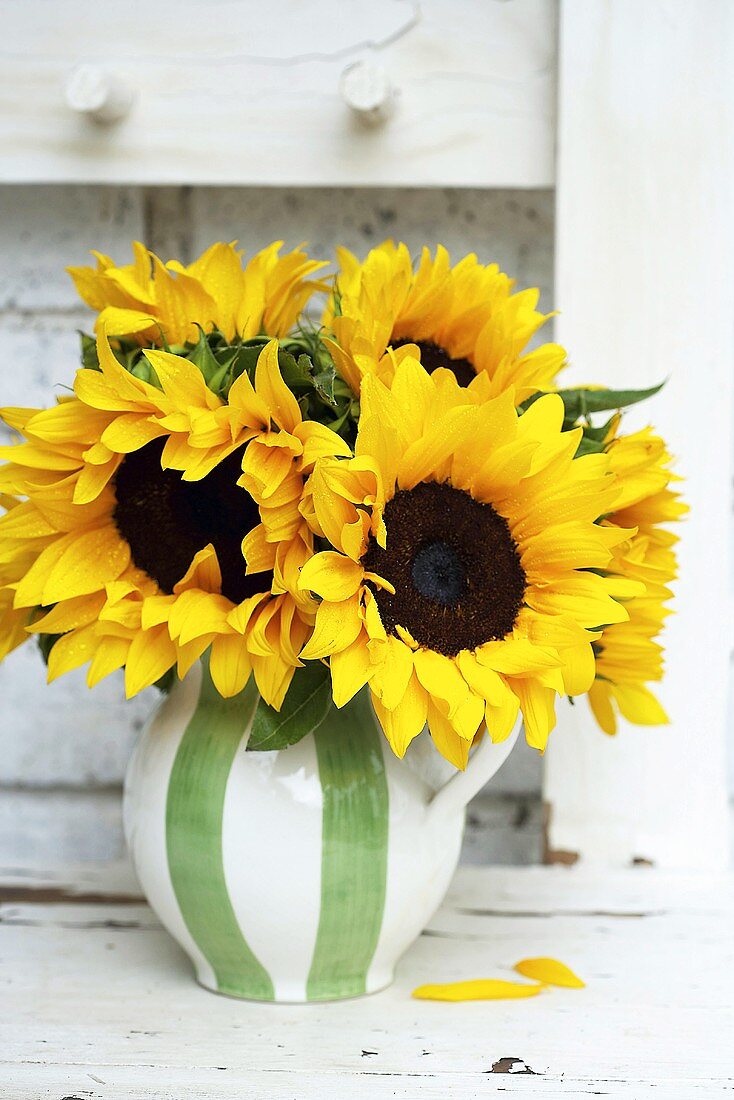 Sunflowers in a vase