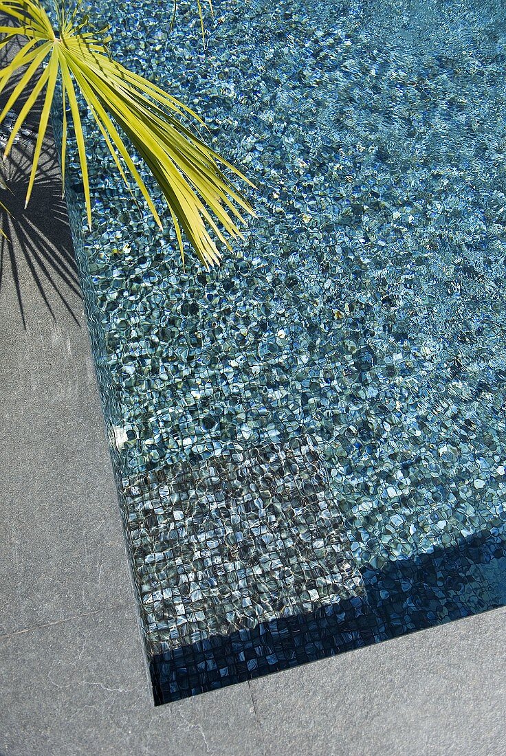 Swimmingpool mit Mosaiksteinen (Villa Nalu, Südfrankreich)