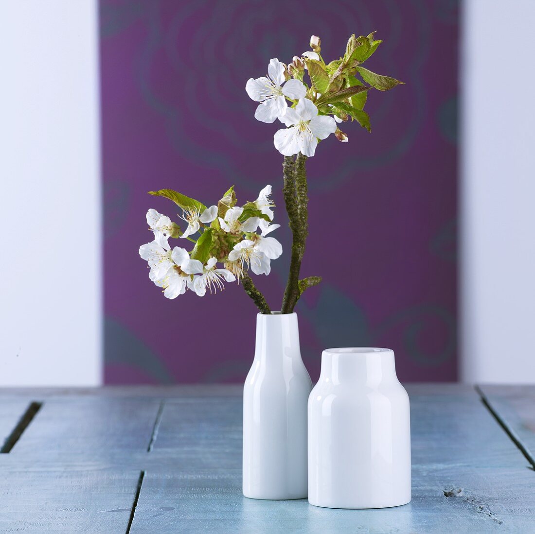 Kirschblütenzweig in Vase