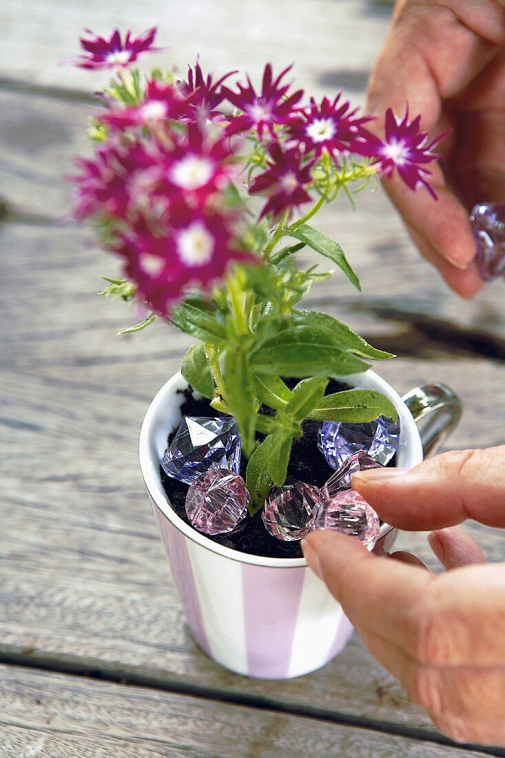 Putting glass prisms into a flowerpot