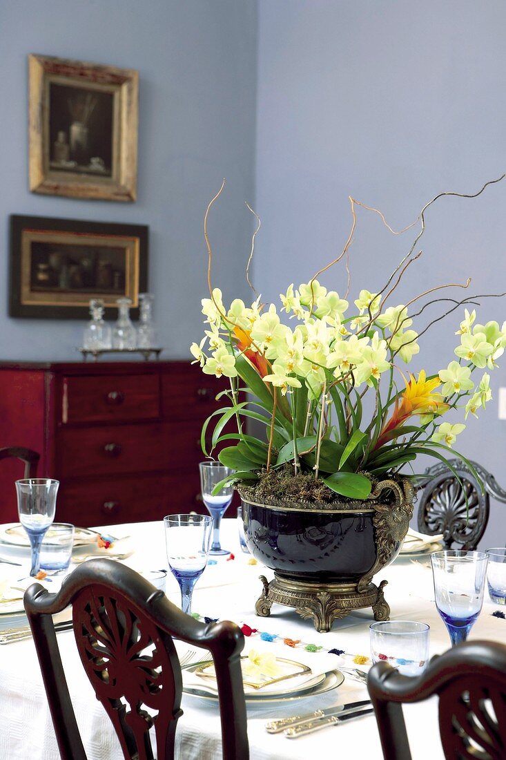 Orchids on laid dining table