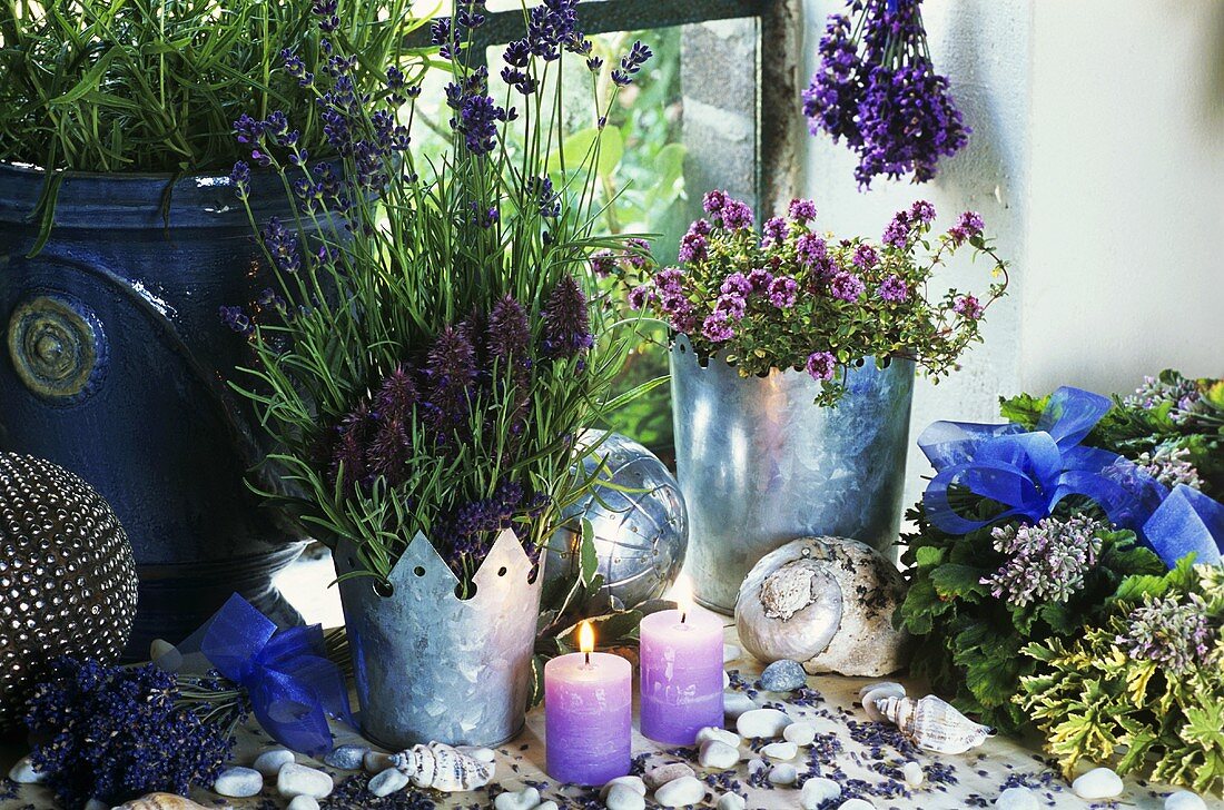 Window decoration of lavender and herbs