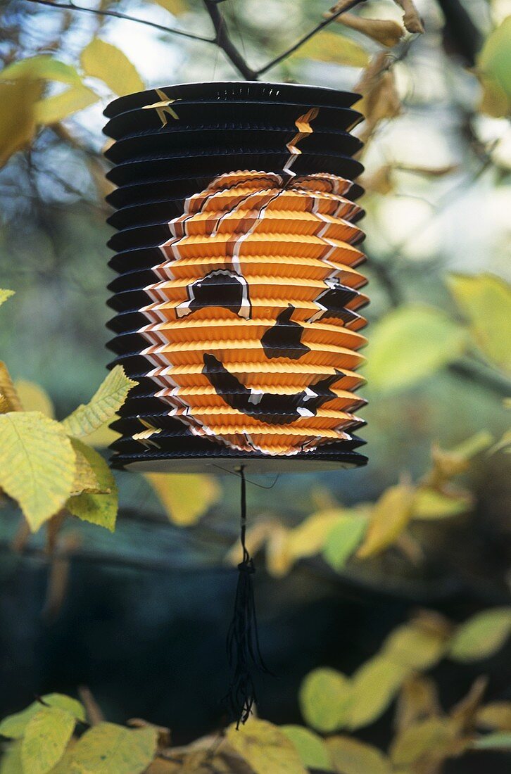 Paper lantern with printed pumpkin face hanging in tree