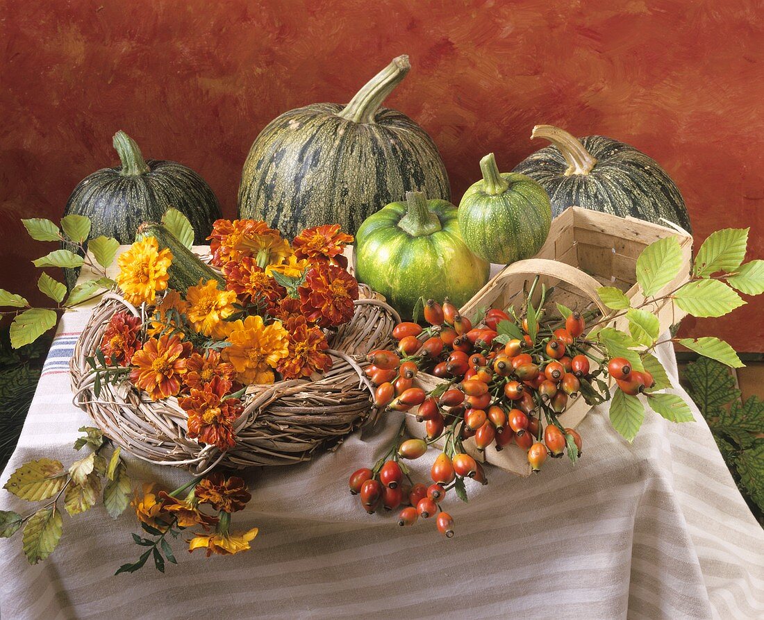 Autumn still life (pumpkins, rose hips, flowers)