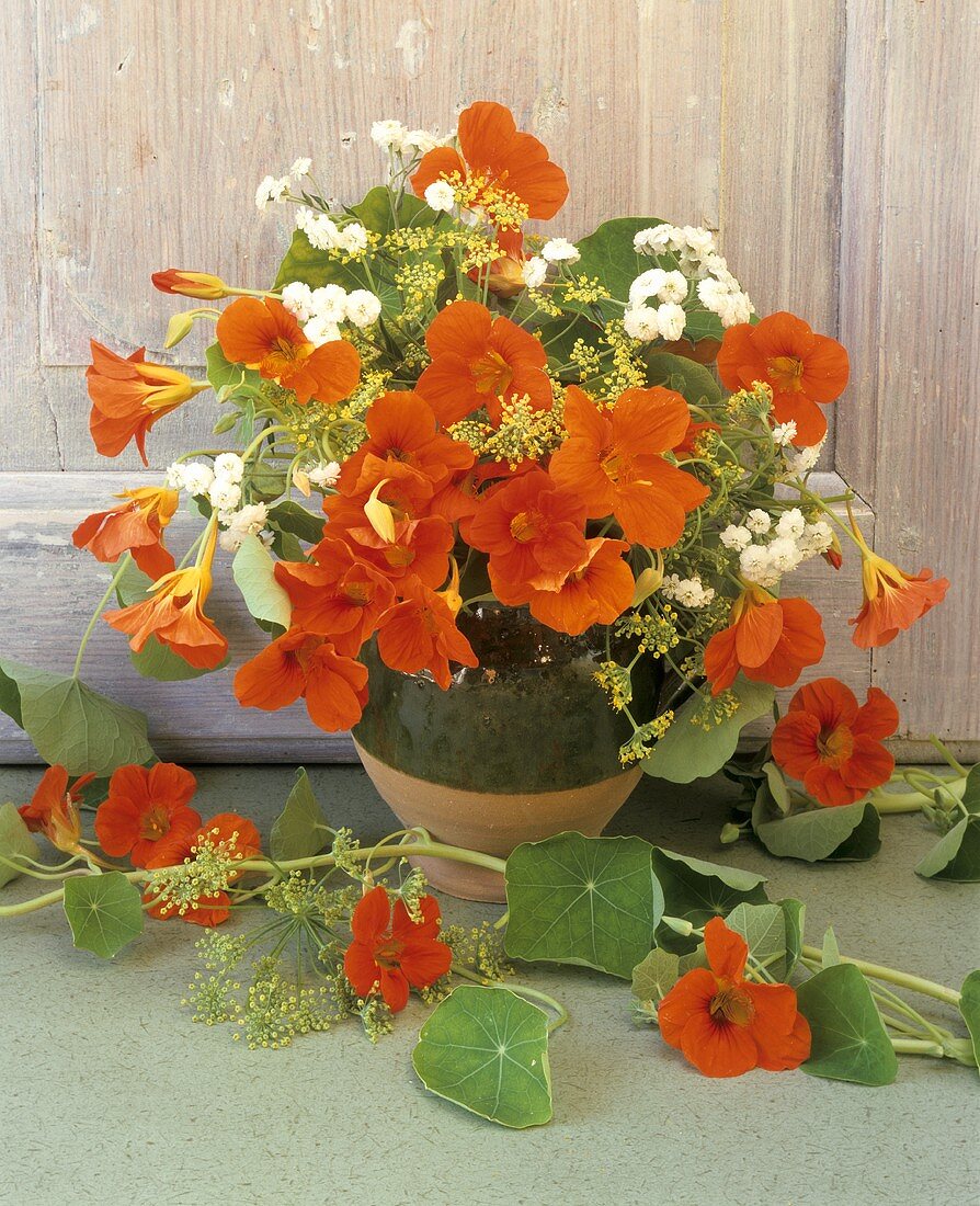 Bunch of herbs in a vase