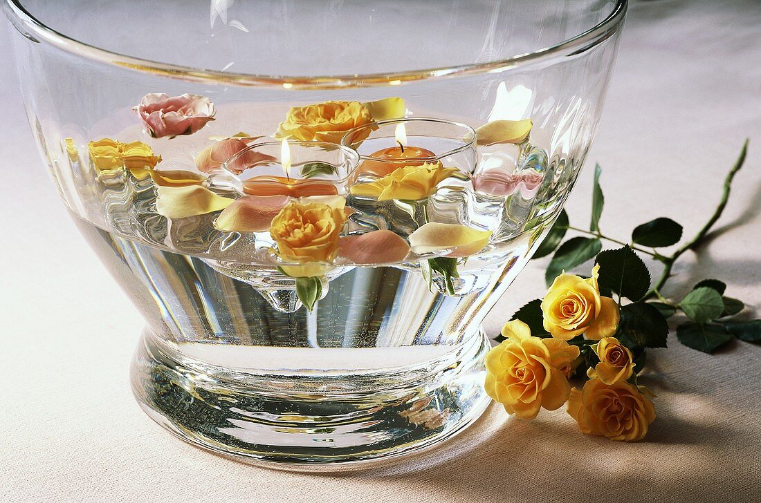 Roses in bowl of water