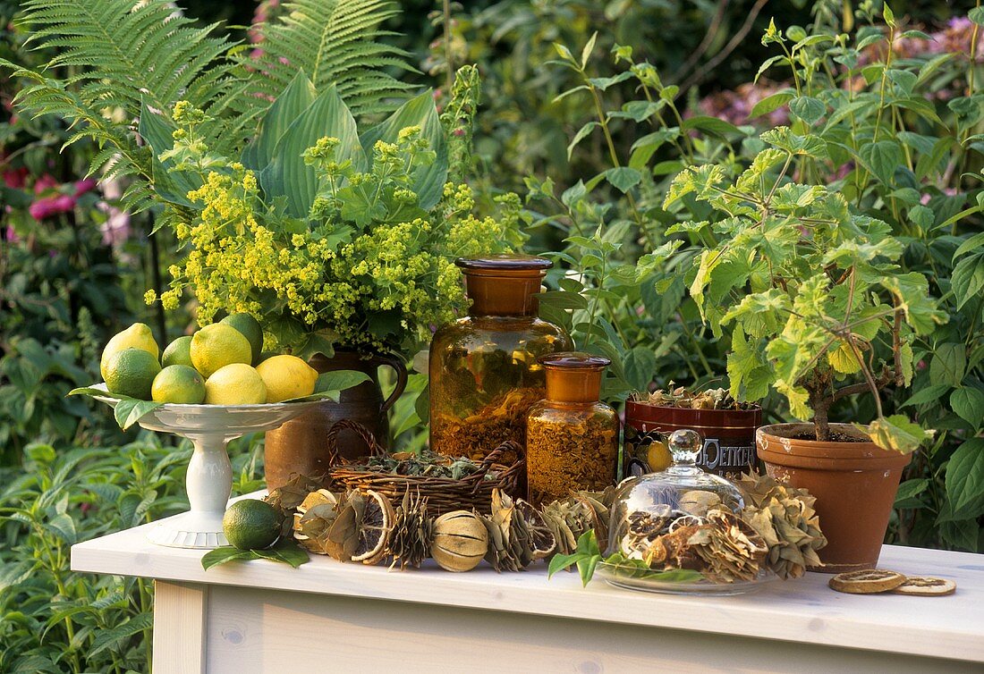 Dried herbs and citrus fruit on garden table