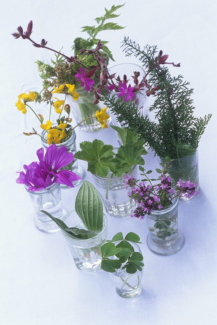 Essbare Blätter und Blüten in Wassergläsern