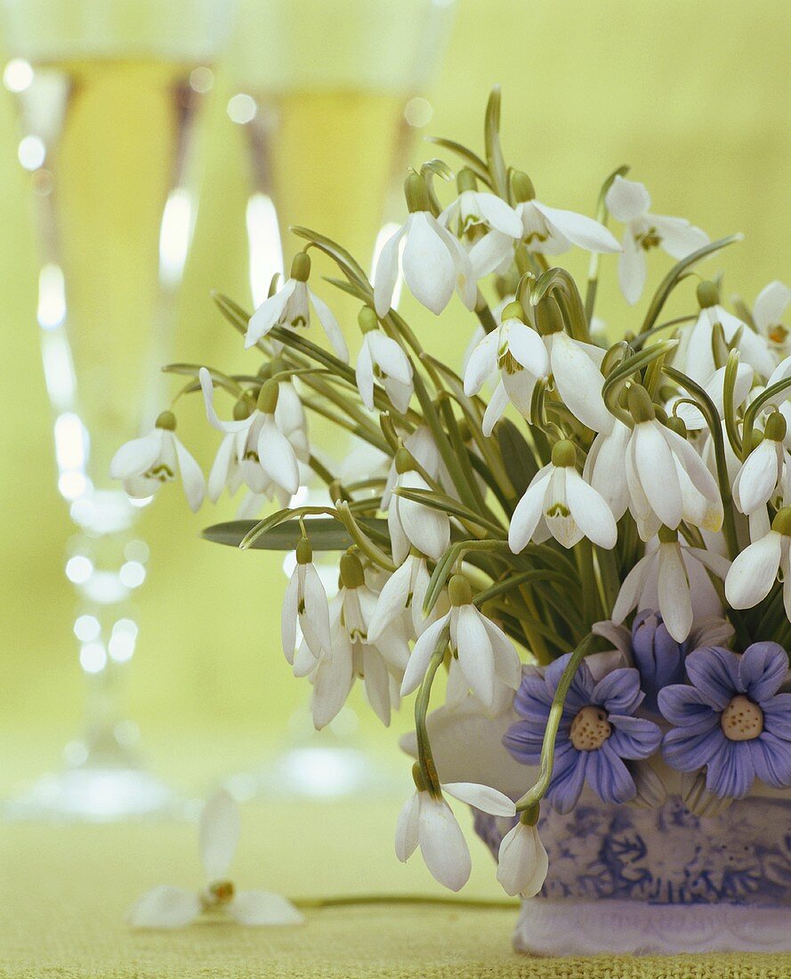 Snowdrops as table decoration