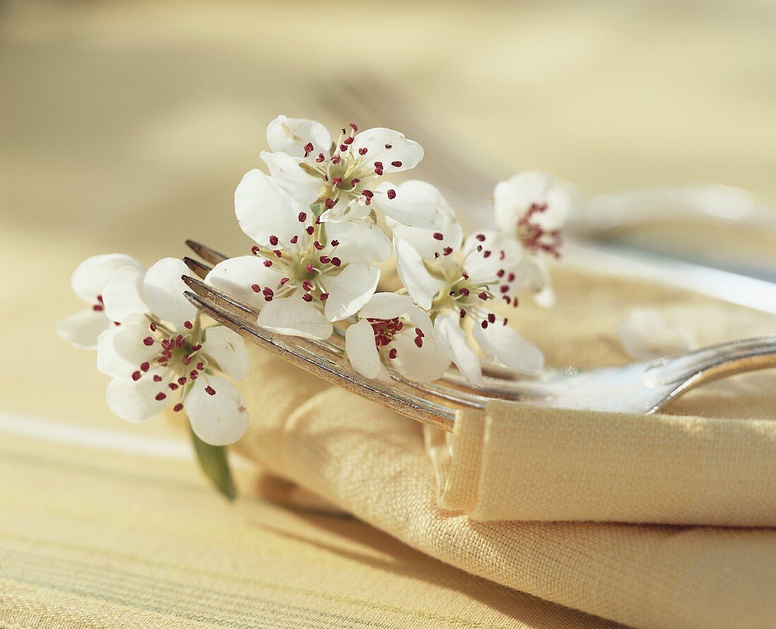 Fork with blossom on napkin