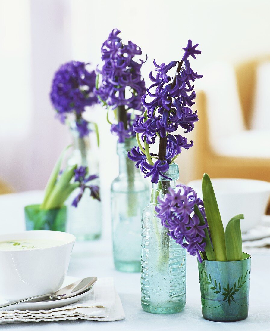 Hyacinths in bottles and small glasses