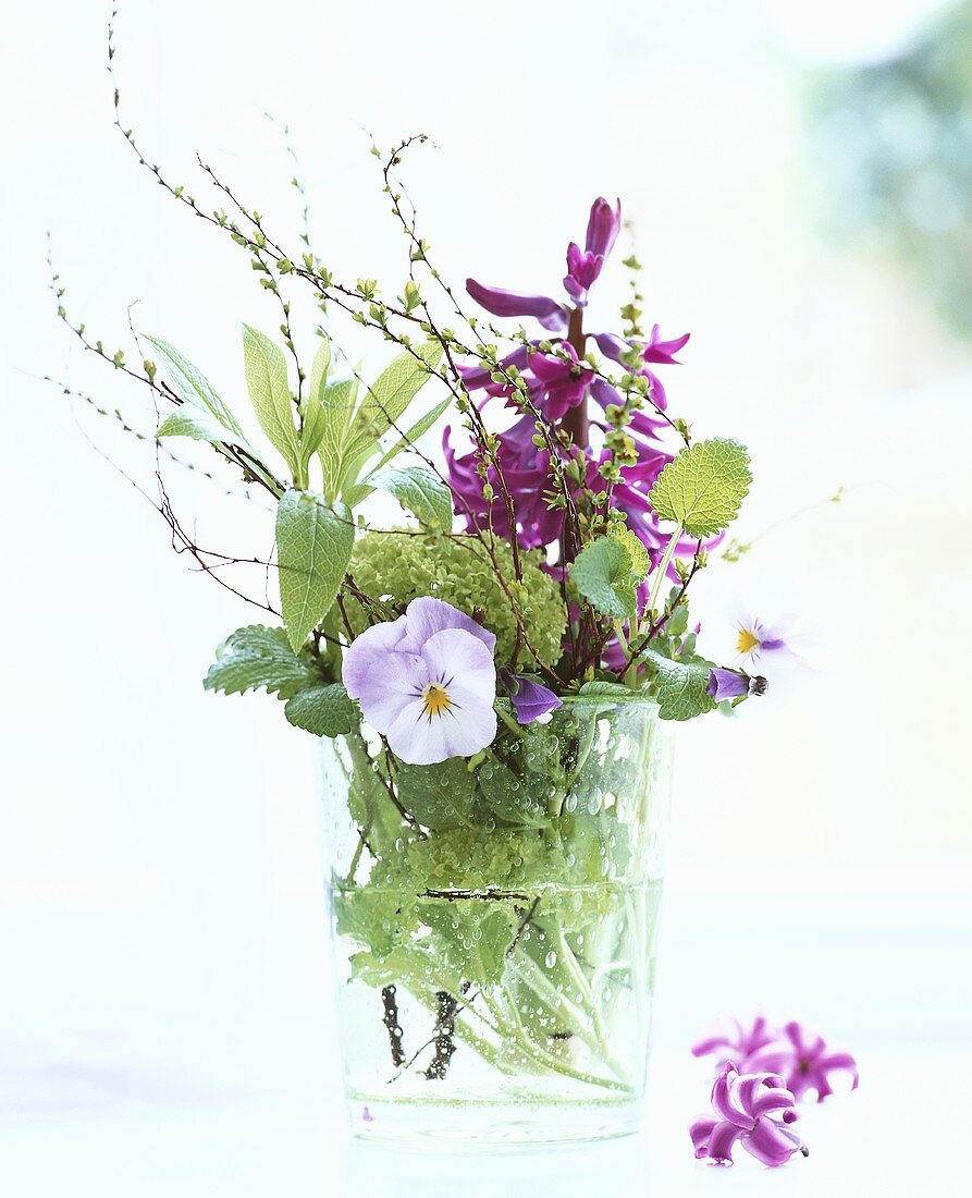 Hyacinth, horned violets and herbs in glass