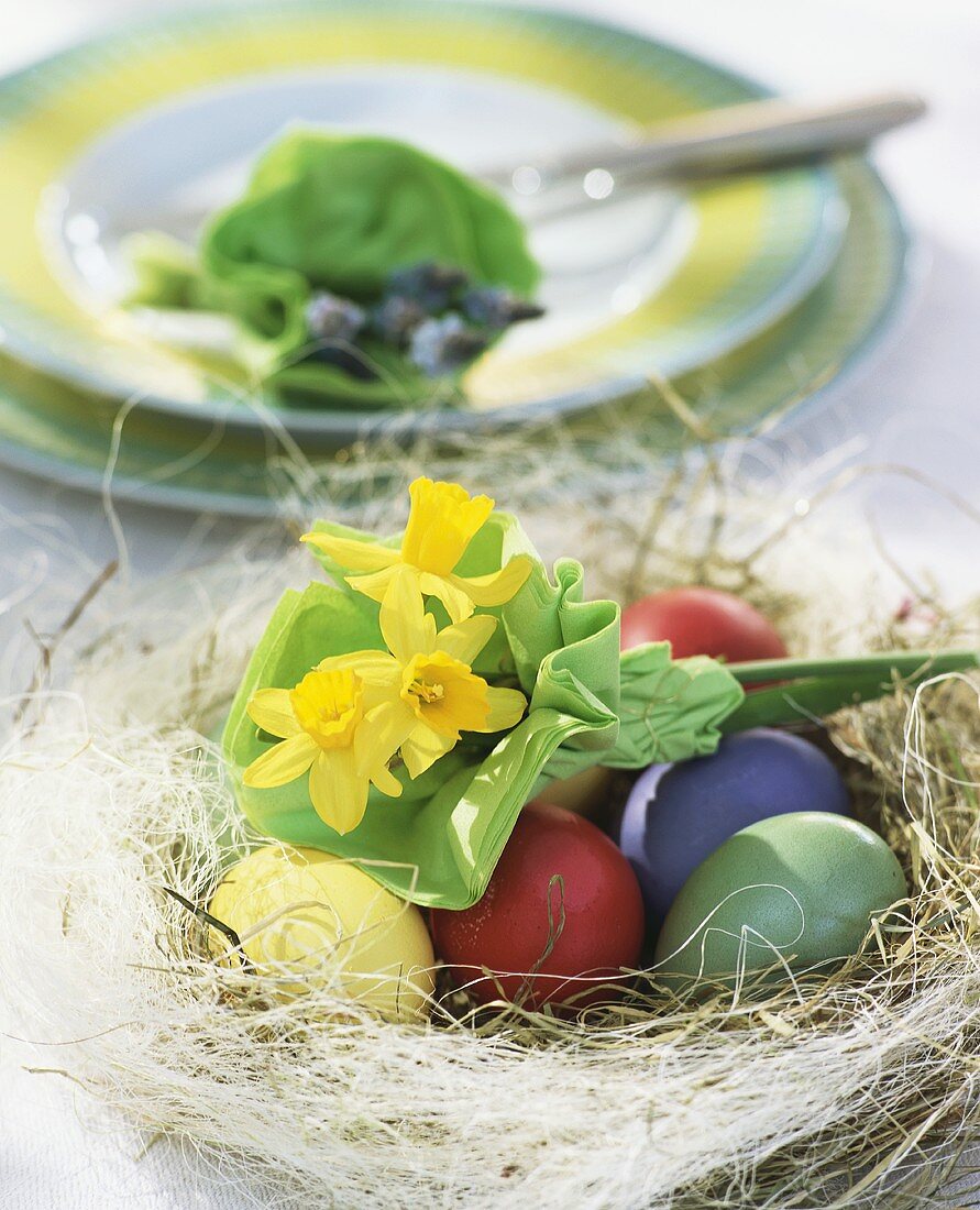 Osternest mit gefärbten Eiern und Narzissen