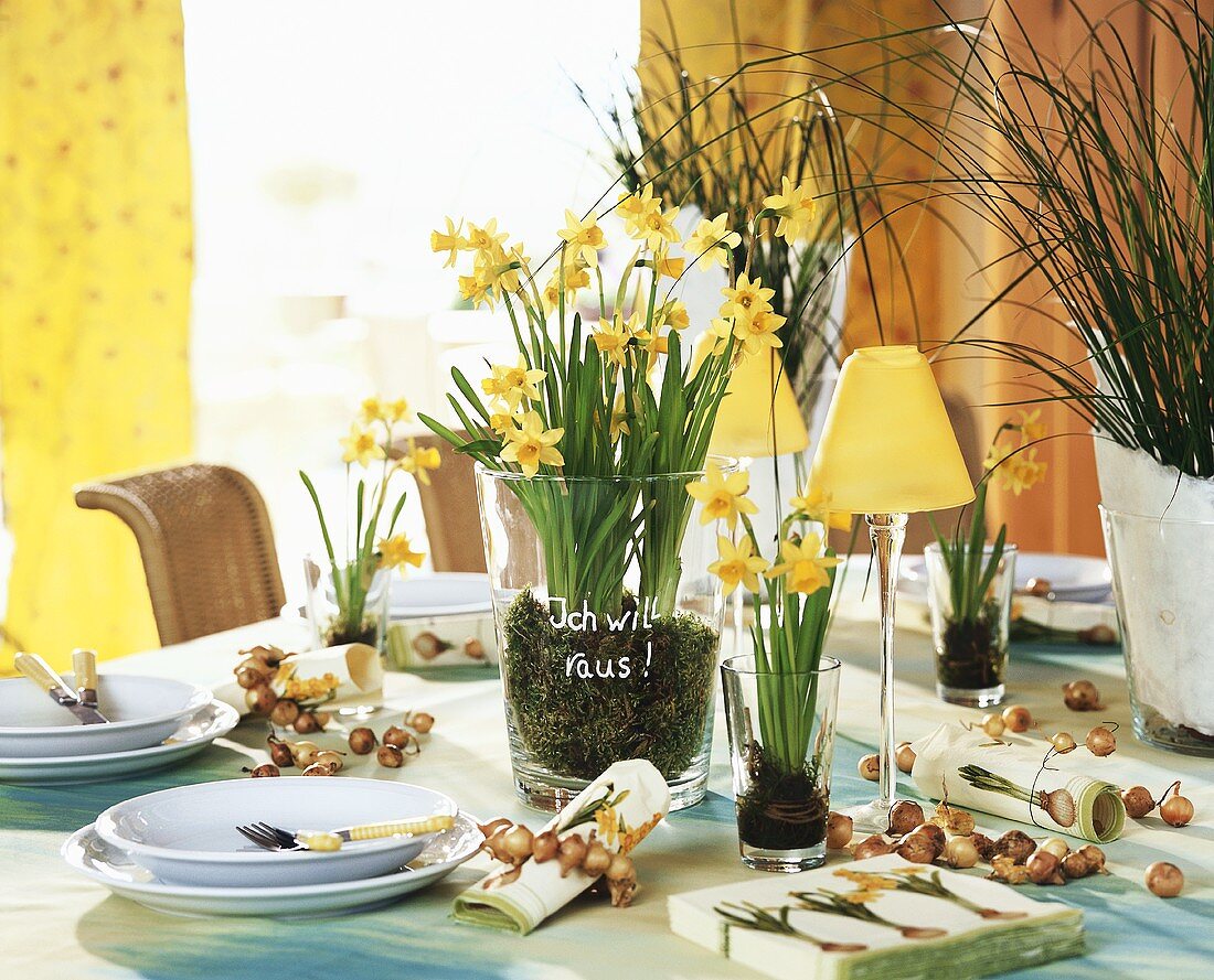 Laid table decorated with narcissi