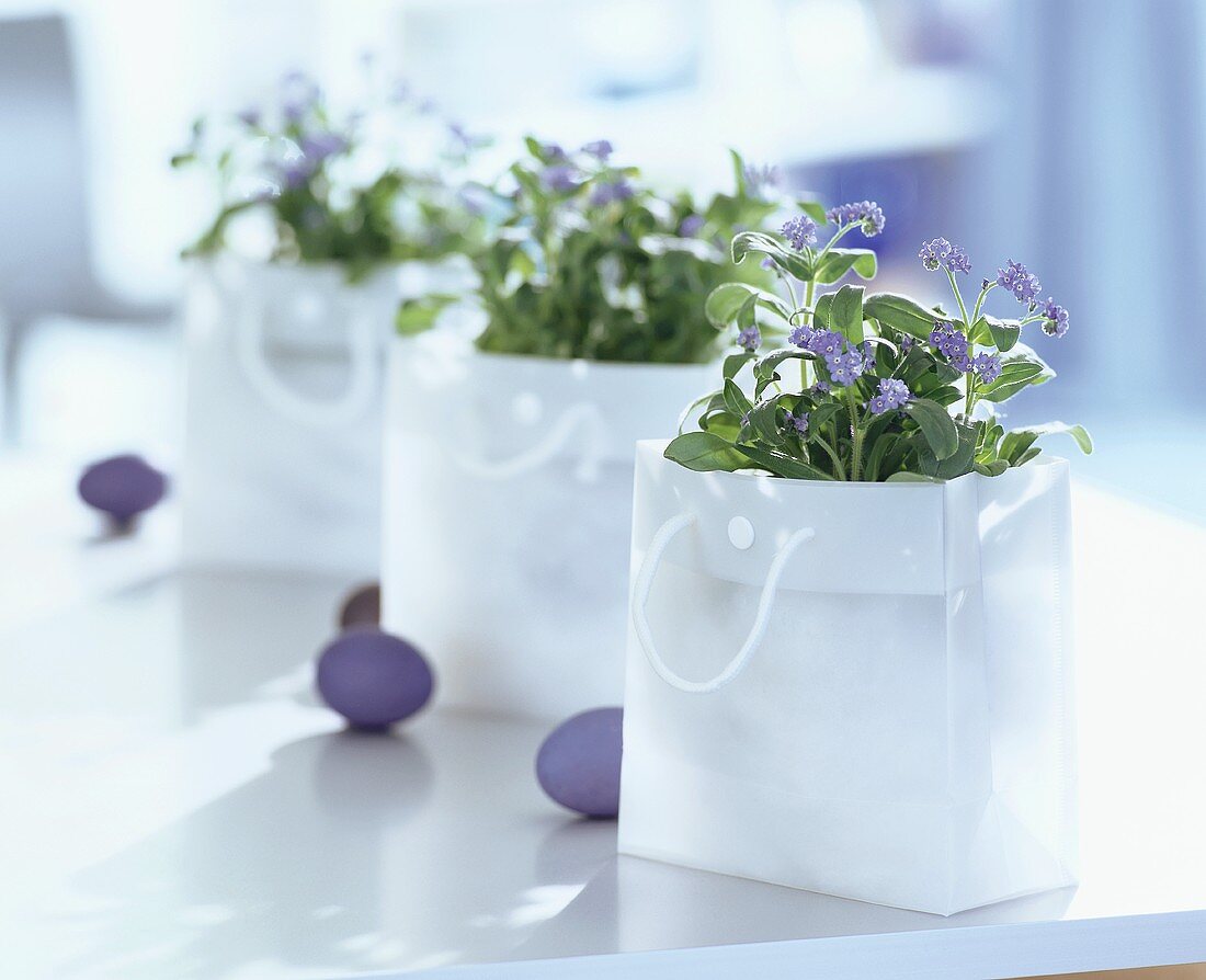 Forget-me-nots in carrier bags & blue Easter eggs