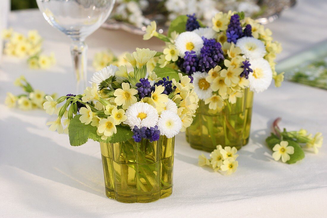 Small posy of cowslips, Bellis and grape hyacinths
