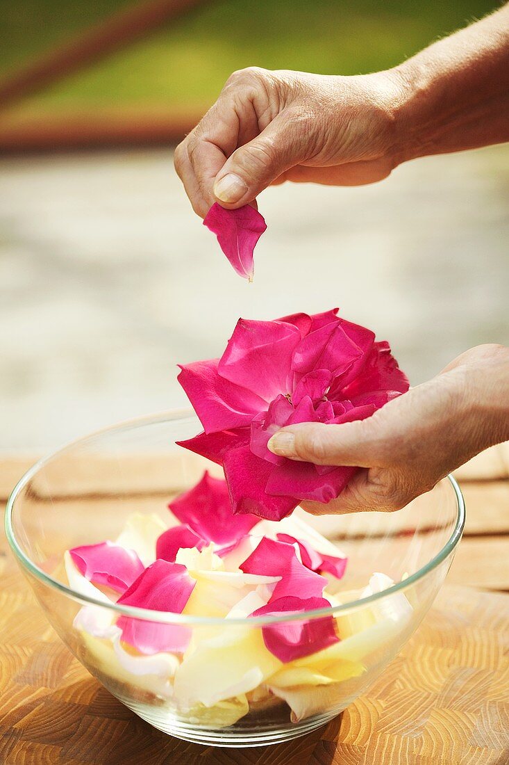 Taking the petals off roses