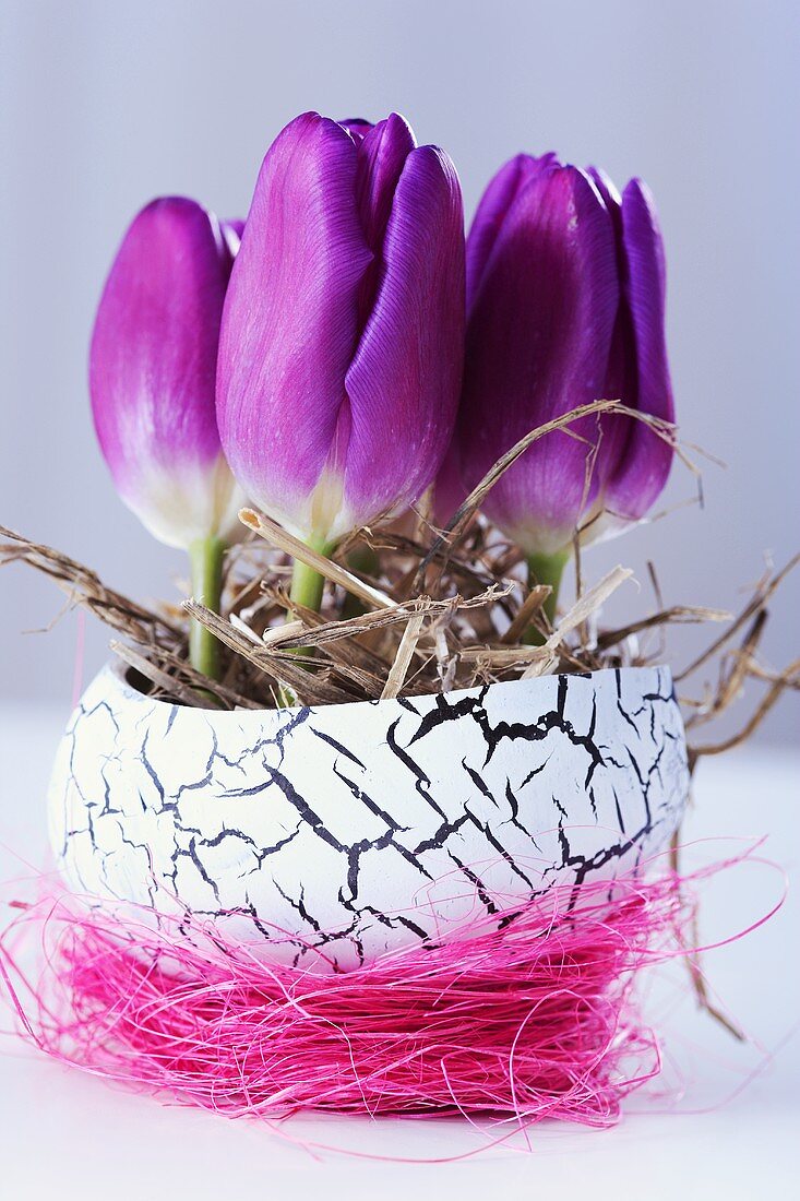 Tulpenblüten in einem Porzellan-Ei