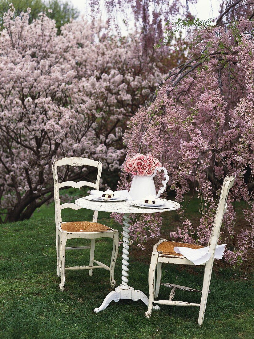 Tisch mit Strauss von Kirschblüte zwischen blühenden Bäumen