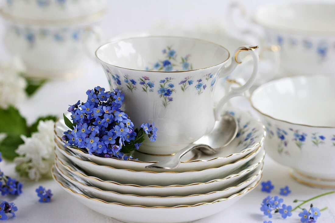 Coffee set with forget-me-nots