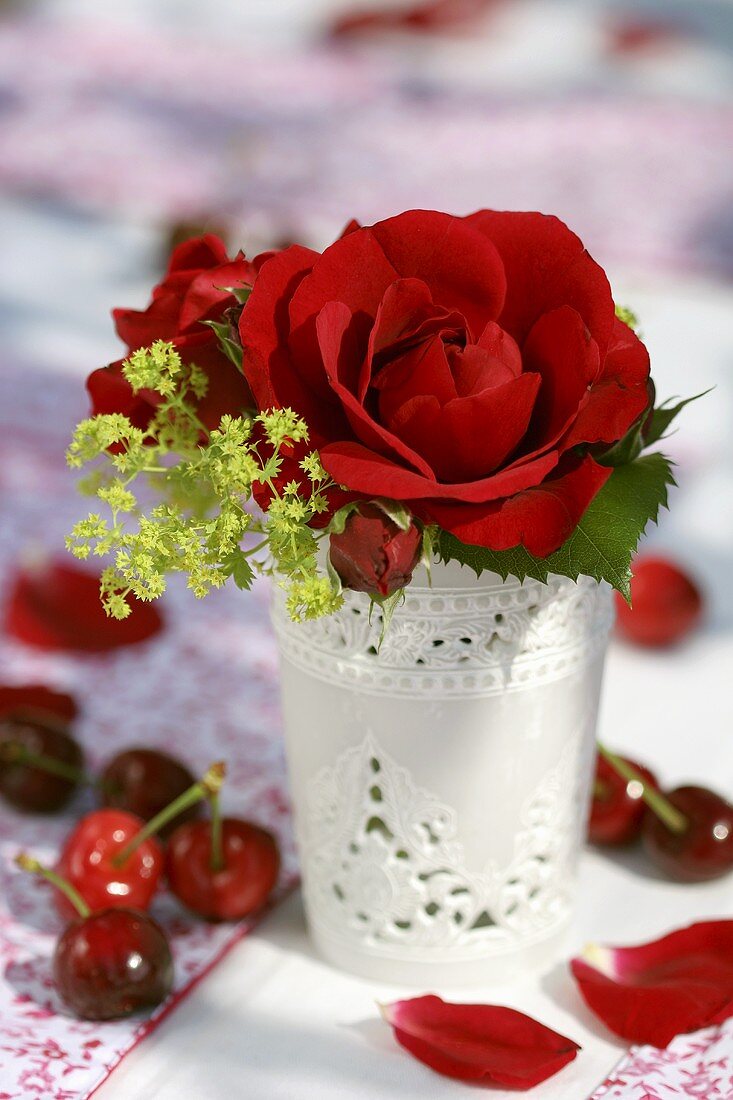Roses & lady's mantle in white vase surrounded by cherries