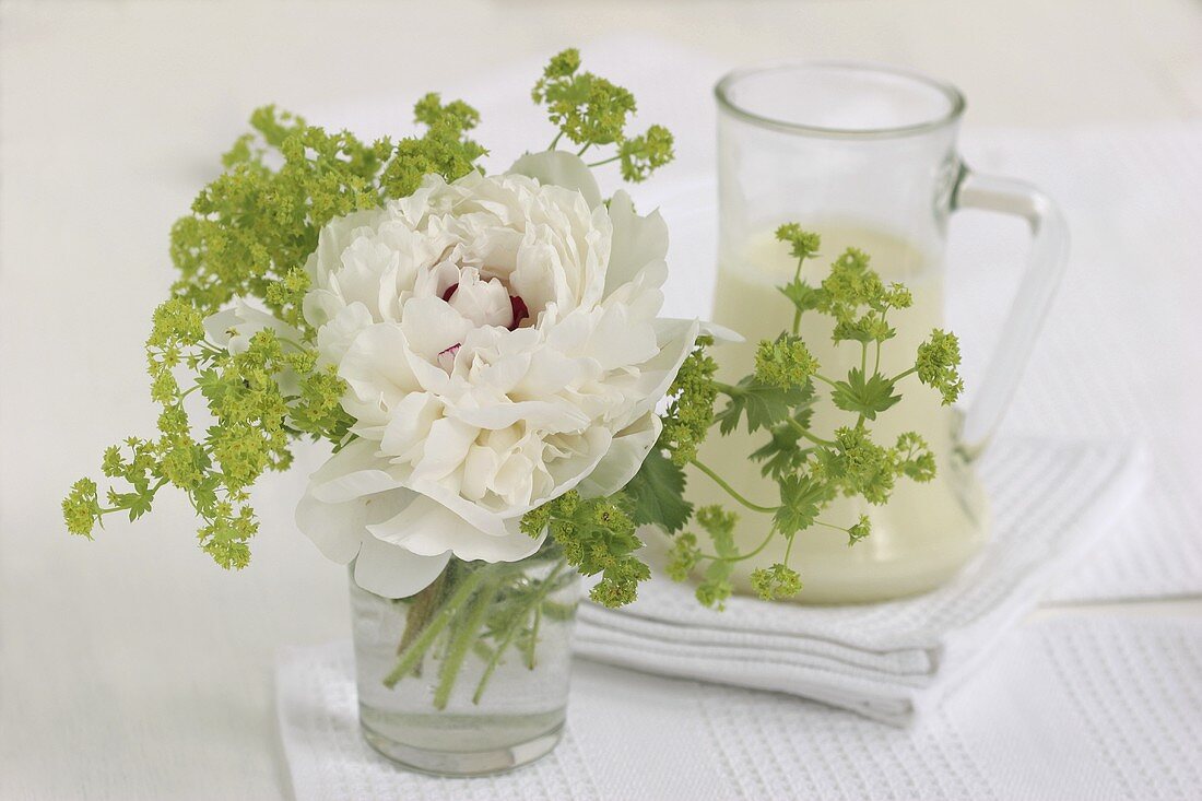 Peony and lady's mantle in a glass