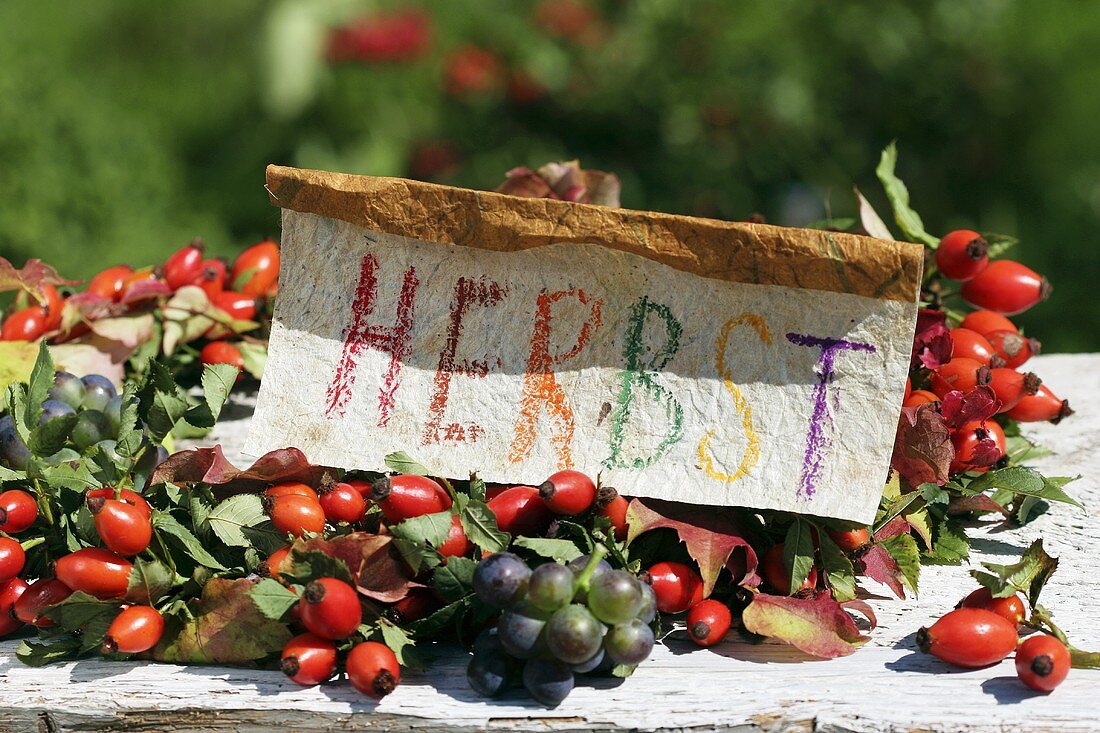 Autumn wreath of rose hips & grapes with sign ('Autumn' in German)