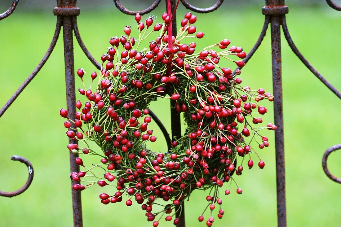 Moss wreath with rose hips