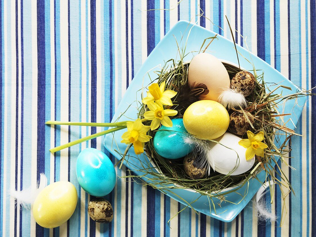 Various types of eggs in Easter nest with narcissi and hay