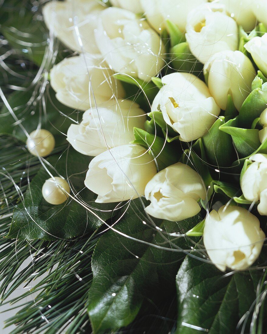 Bouquet von weissen Tulpen