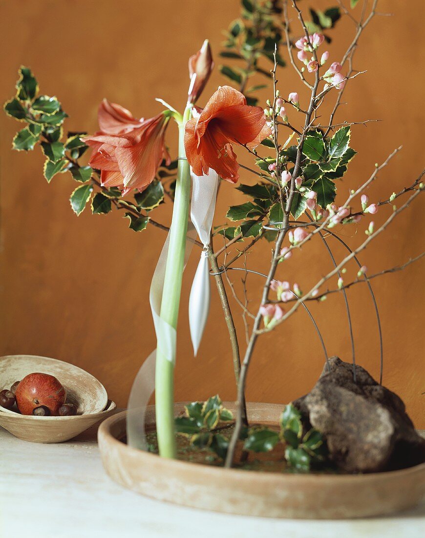 Schale mit Amaryllisblüten und Stechpalme