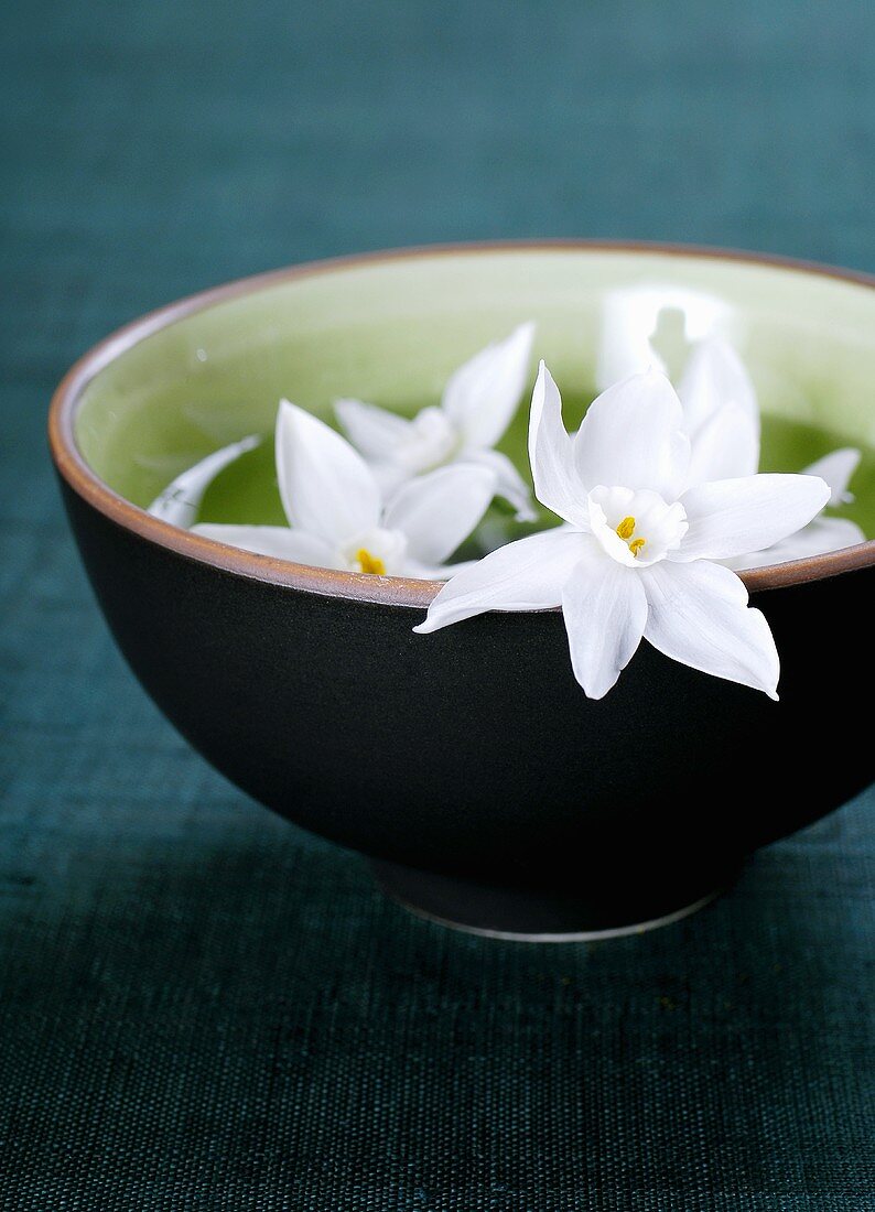 White narcissus resting on the rim of a bowl of water