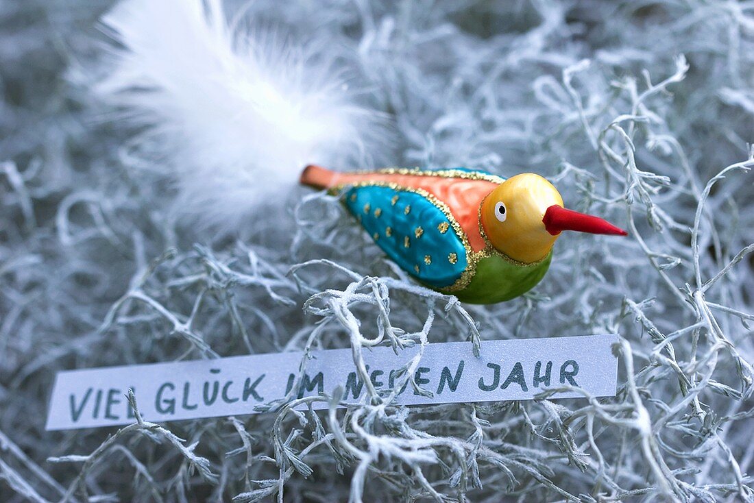 Bunter Glasvogel mit Neujahrsgruss auf Calocephalus