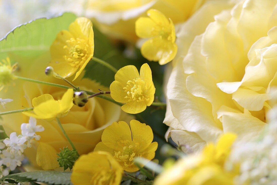 Yellow roses and buttercups