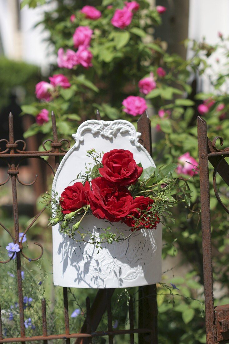 Roses in a wall vase on a fence