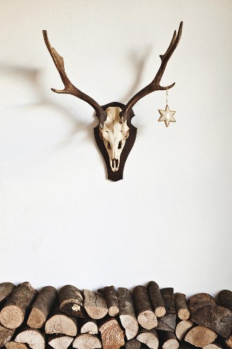 Brennholz Bilder – Interior Design-Fotos kaufen living4media