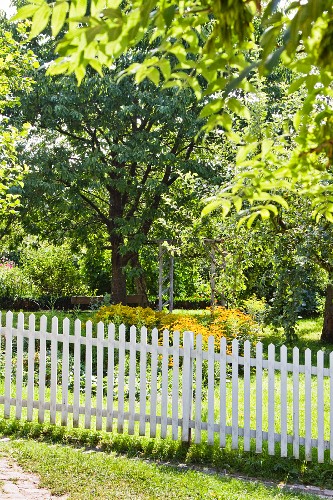 White Garden Fence In Park Buy Image Living4media