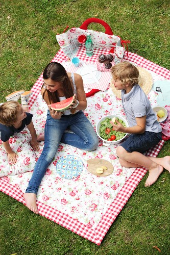 picnic blanket floral