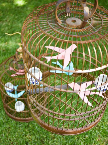 where can i buy a birdcage