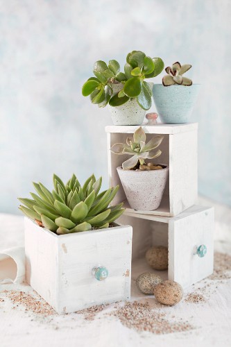 Schubladen Bilder – Interior Design-Fotos kaufen living4media