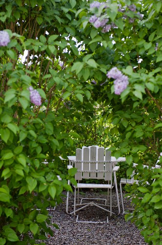 Versteckt Bilder – Interior Design-Fotos kaufen living4media