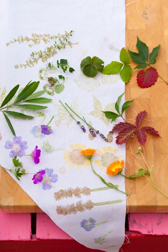 Various leaves and flowers to be used for printing fabric