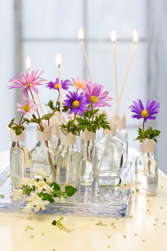 Frühlingsblumen und Kerzen in Schnapsfläschchen mit selbstgebastelten Papiermanschetten als Blumenvase
