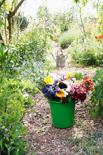 Gruner Eimer Mit Bunten Schnittblumen Bild Kaufen Living4media